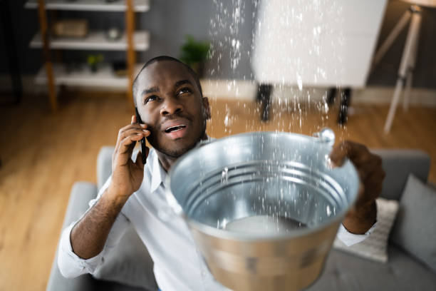 Best Residential water damage restoration  in Onarga, IL