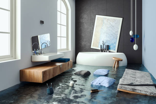 Best Carpet water damage restoration  in Onarga, IL