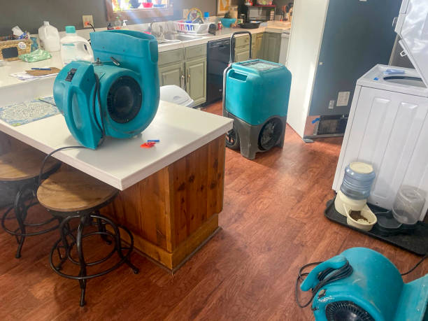 Best Mold removal after water damage  in Onarga, IL