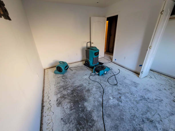 Best Ceiling water damage repair  in Onarga, IL