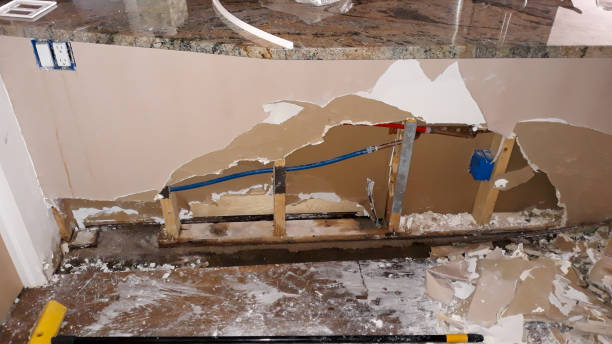 Best Flood damage cleanup  in Onarga, IL