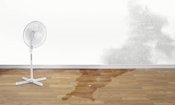 Best 24-hour water damage restoration  in Onarga, IL