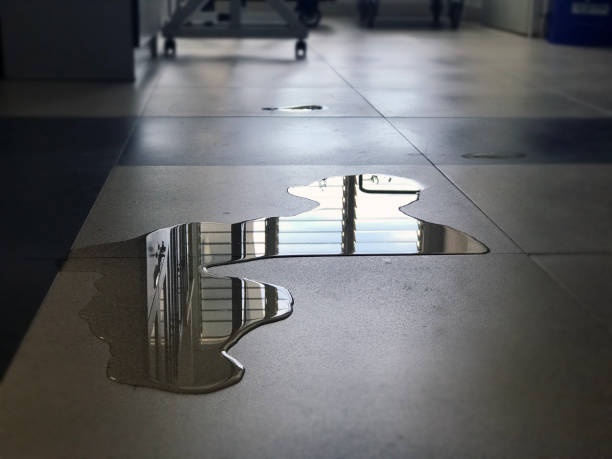 Best Local water damage restoration  in Onarga, IL