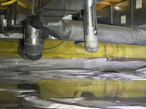 Best 24/7 water damage repair  in Onarga, IL