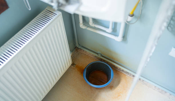 Best Professional water damage repair  in Onarga, IL