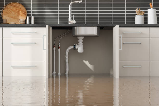 Best Ceiling water damage repair  in Onarga, IL