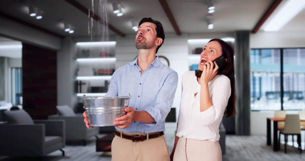 Best Sewage cleanup and water damage restoration  in Onarga, IL