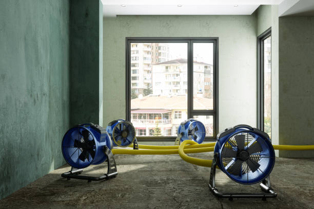 Water damage restoration experts in Onarga, IL