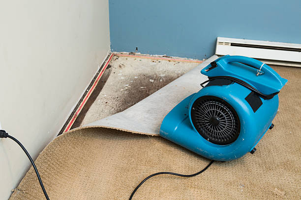 Best Commercial water damage restoration  in Onarga, IL